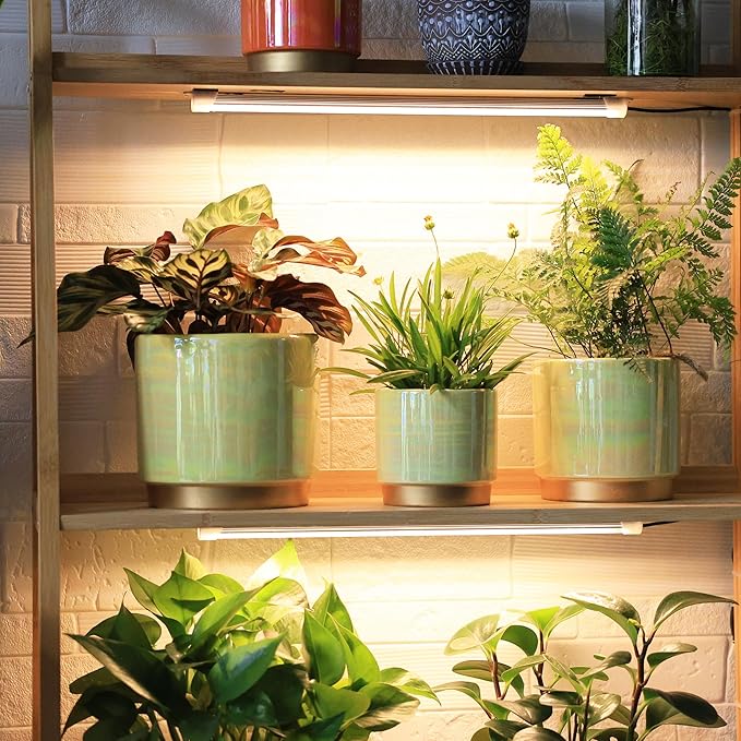 Gepege Indoor Pots for Plants, Ceramic Planter with Drainage Hole, 6.0 inch+5.0 Inch+4.0 Inch. Succulent Orchid Flower Pot - Rainbow Pearl Glaze