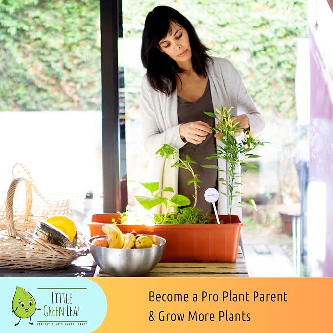 LGL Plant Watering Globes - Automatic Self Watering Globes. Decorative Self Watering Planter Inserts Made From Hand-Blown Durable Glass. Self Watering Spikes to Support Plant Health. 4 Pack, Medium.