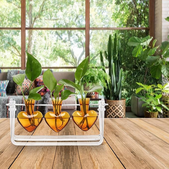 Plant Terrarium Propagation Stations with Wooden Stand Birthday Gifts for Women Plant Stand Indoor Office Home Decor