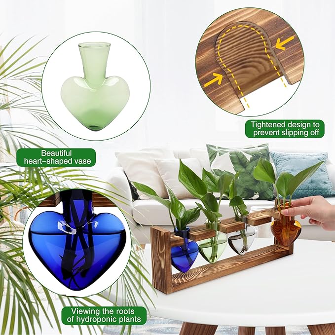 Plant Propagation Stations Heart Plant Terrarium Kit Gift for Women Plant Lover Glass Vases