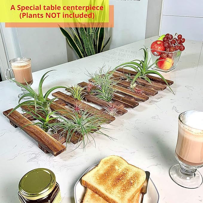 ShopLaLa Wall Planter - Wooden Hanging Planter for Indoor Plants, Plant Stand, Air Plant Succulent Holder, Vertical Garden. Large Wall Decor for Living Room, Room Decor for Teens, 60cm (23.6")