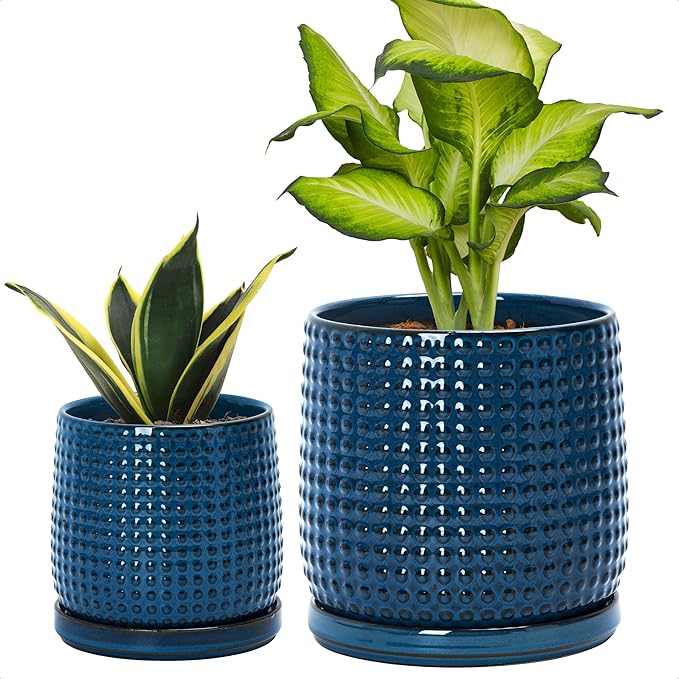 D'vine Dev 6 Inch 4 Inch Ceramic Indoor Planter Pots with Drainage Hole and Saucer, Beaded Design Flower Pots, Set of 2, Blue, 27-D-U-3