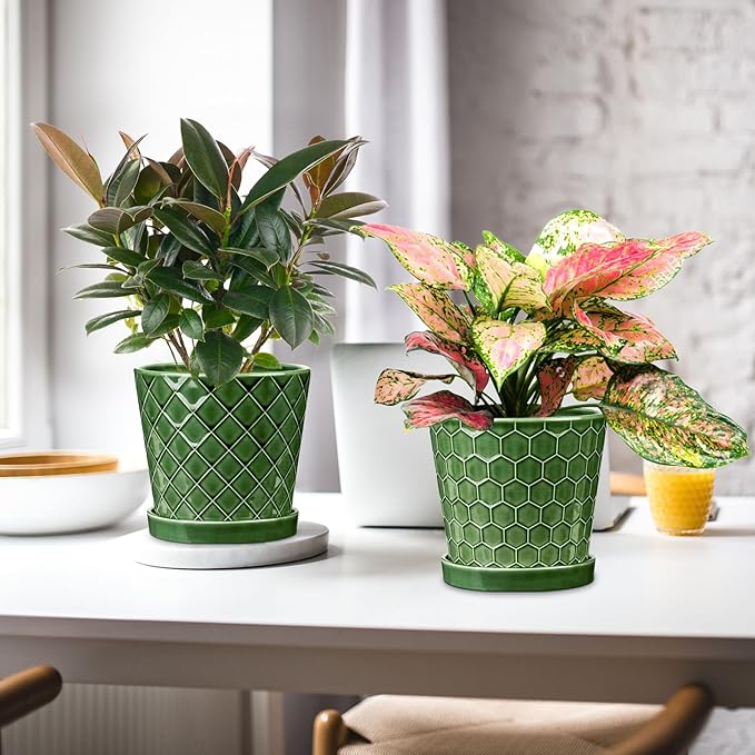 BUYMAX Plant Pots Indoor –6 inch Ceramic Flower Pot with Drainage Hole and Ceramic Tray - Gardening Home Desktop Office Windowsill Decoration Gift, Set of 2(Patina)