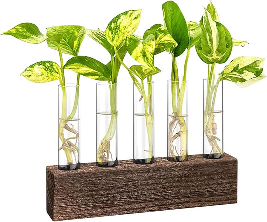 KAXYEW Desktop Glass Plant Propagation Station Test Tube Plant Terrarium in Wooden Stand for Hydroponic Plants Cutting Office Home Decoration Gift for Women (5 Test Tubes-BR)