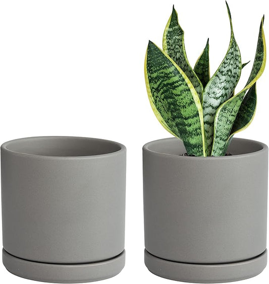 D'vine Dev Set of 2 Plants Pots, 6 Inch Ceramic Planter Pot for Plants with Drainage Hole and Saucer, Speckled Grey, 94-V-C-3