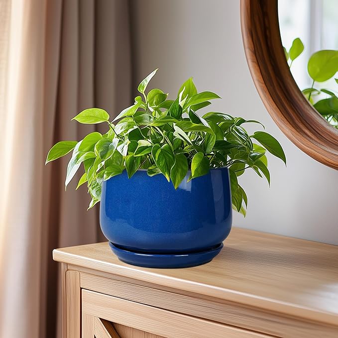 G EPGardening 6 Inch Plant Pot - Round Ceramic Planter Indoor with Drainage and Ceramic Saucer for Flower, Modern Desk Decor, Modern Garden Gift, Blue