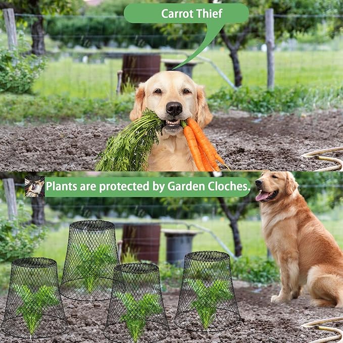 Garden Cloches for Plants, Sapbontchi Chicken Wire Plant Covers Plant Protectors from Animals Plant Protector Metal Plant Cages to Keep Rabbits Out Bunnies Chicken Squirrels Bird Out