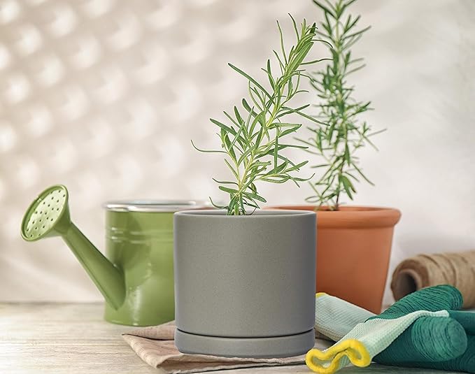D'vine Dev Set of 2 Plants Pots, 4.6 Inch Ceramic Planter Pot for Plants with Drainage Hole and Saucer, Speckled Grey, 94-V-B-3