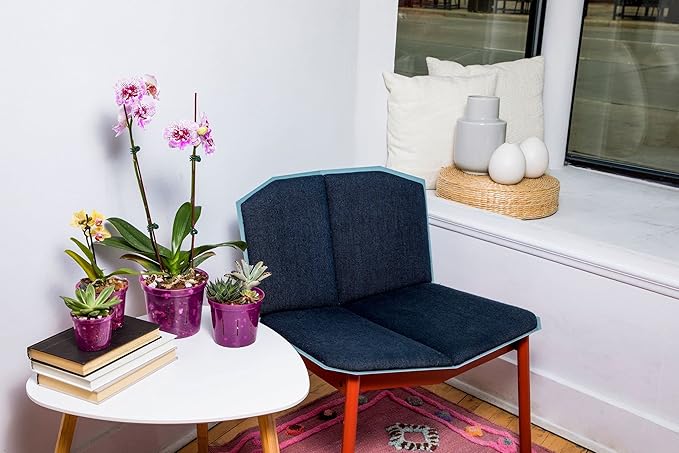 rePotme 3 inch Orchid Pot 3 Pack - Slotted Orchid Pots with Holes for Repotting (Crystal Clear)