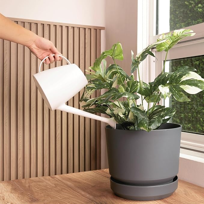 Elly Décor 8 inch Plastic Cylinder Planter Pot with Self-Watering Saucer and Drainage Hole,Lightweight & Extremely Durable, 8"x 8", Gray