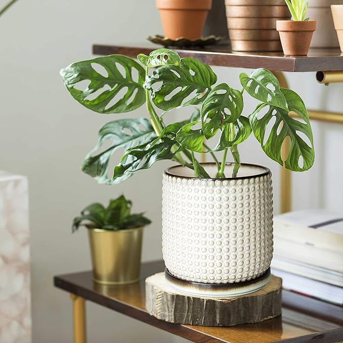 D'vine Dev 6 Inch Ceramic Beaded Stoneware Planter Pot - Flower Pot with Drainage Holes and Saucers for Indoor Succulent Plants or Flowers, Smoked White, 27-C-X-1