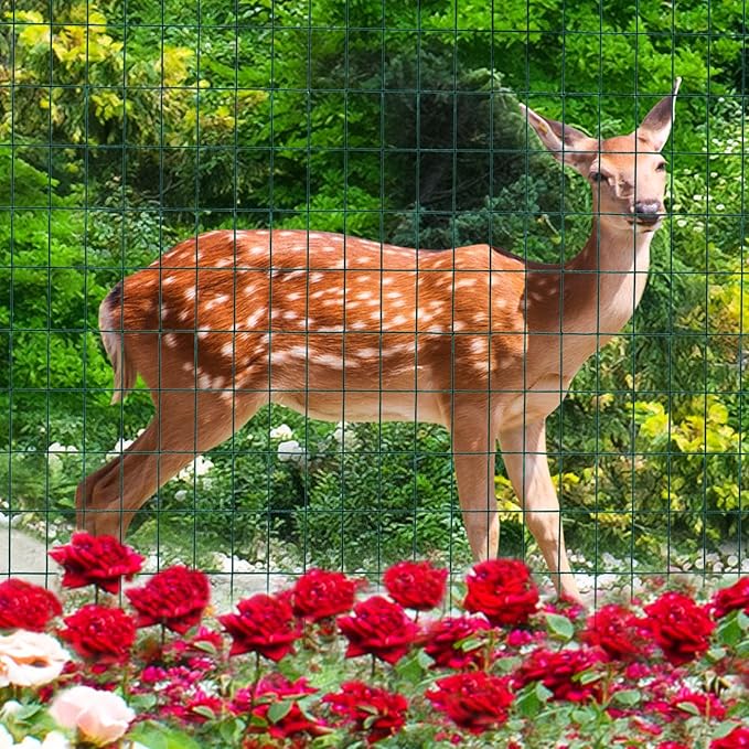 Green PVC Coated Welded Wire Fence 36 Inch x 25 Foot, 2 Inch x 3 Inch 16GA, Garden Border Fencing Roll Vinyl Coating Metal Wire Mesh for Yard Vegetable Plant Protection Poultry Netting