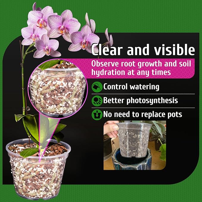REMIAWY Orchid Pot, 6 Pack Orchid Pots with Holes, 5.5 Inch Clear Plastic Flower Planters for Repotting Indoor Outdoor, Breathable Slotted Nursery Planter