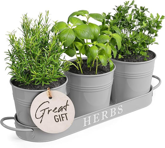 Barnyard Designs Indoor Herb Garden Planter Set with Tray, Metal Windowsill Plant Pots with Drainage for Outdoor or Indoor Plants, Set/3 (Cool Grey)