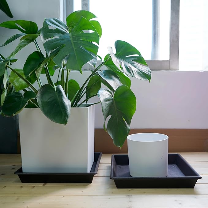 Square Plant Saucer 16 Inch 5 Pack, Plant Stand Plant Trays for Pots Heavy Duty Plastic Plant Saucers for Indoors Outdoors, No Holes Plant Drip Trays Plant Lover Gardening Gifts