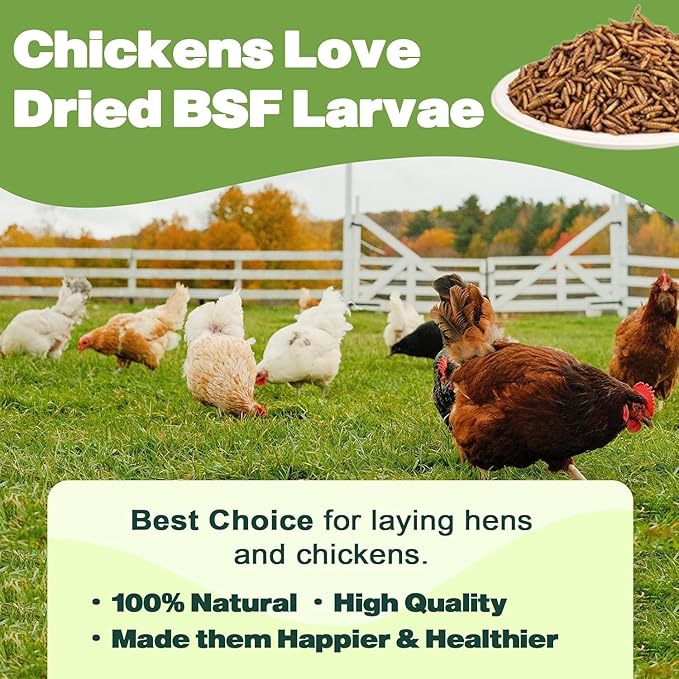 5LB Dried Black Soldier Fly Larvae, 86X Calcium Than Dried Mealworms, High Protein Non-GMO Organic Chicken Feed