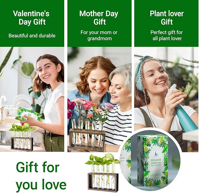 Ivolador Plant Propagation Station Terrariumin Wall Test Tube Vases Bud Tabletop Glass Wooden Stand with 5 Propagation Tubes for Propagating Hydroponic Plants Home Garden Wedding Decoration-Brown