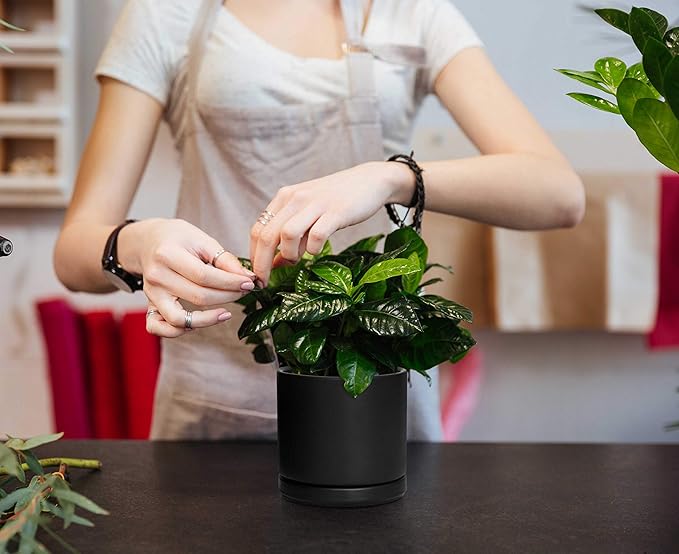 D'vine Dev 4.6 Inch & 6 Inch Ceramic Planter Pots for Plants with Drainage Hole and Saucer, Small Plant Pots Set, Black, 94-G-S-2