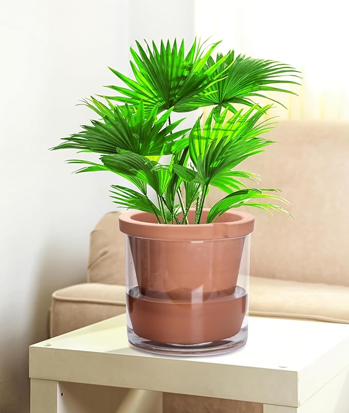 D'vine Dev 10 Inch Design Self Watering Pot for Indoor Plants, Terracotta Planter with Cylinder Glass Cup, Set of 1, 37-X-D-1