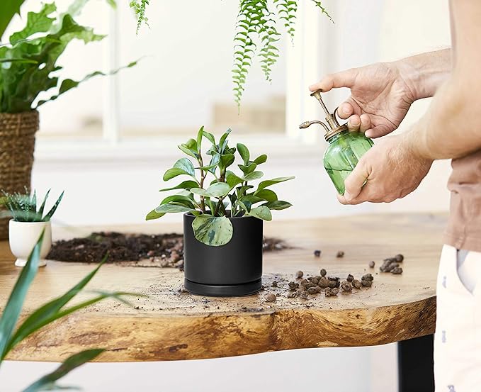 D'vine Dev Ceramic Planter Pot with Drainage Hole and Saucer, Indoor Cylinder Round Flower Pot, 4.6 Inch, Black, 94-O-B-2