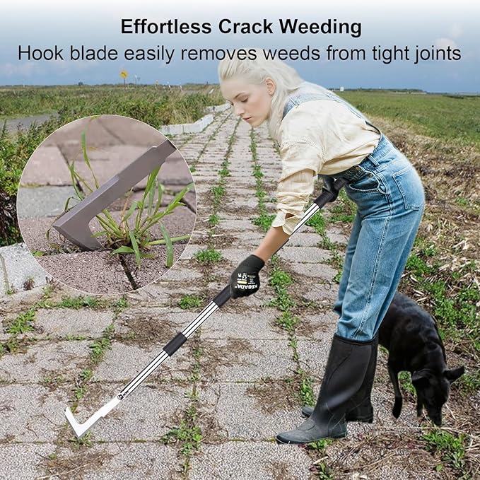 Long Handle Crack Weeder Tool Set with Adjustable 63 inch Handle, 2-in-1 Stainless Steel Crevice Weeding Tool & Brush for Weed and Moss Removal from Patios, Driveways, Sidewalk Cracks