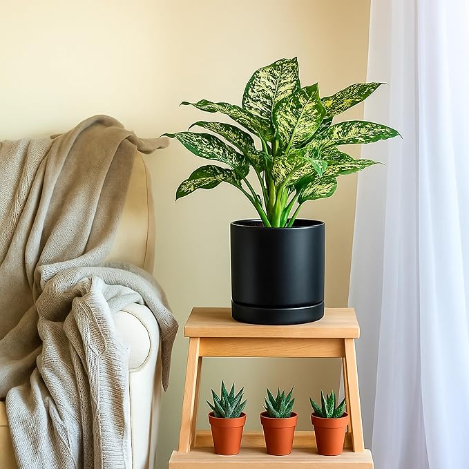 D'vine Dev 8 Inch Ceramic Planter Pot with Drainage Hole and Saucer, Indoor Cylinder Round Planter Pot, Black, 94-O-D-2