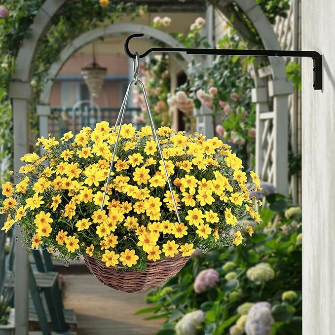 8 Inch 2 Pack Black Heavy Duty Outdoor Plant Hangers for Hanging Baskets, Iron Hanging Plant Brackets for Hanging Plants Outside, Metal Plant Hooks Plant Wall Hooks for Hanging Lantern, Bird Feeder