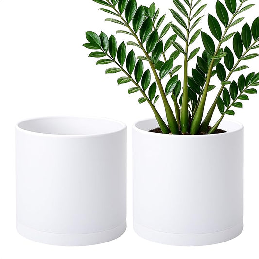 D'vine Dev 2 Pack 10 Inch Modern Plastic Plant Pots, Small Garden Planters for Plant with Drainage Holes and Saucers, White Color, 74-Z-N-1