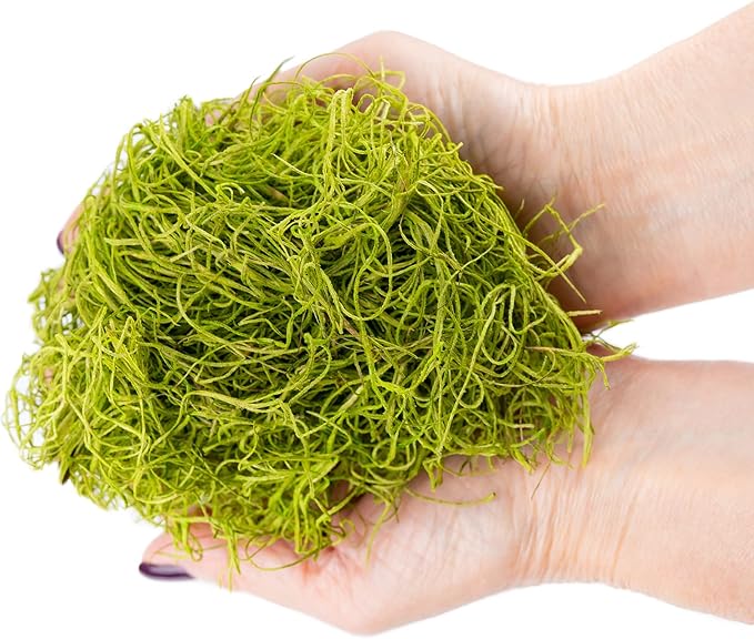 Premium Spanish Moss in Spring Green| Natural Preserved - 10 Quart - Great Ground Cover - Filler for Potted Plants - by GARDENERA (2 Bags of 5 Quart)