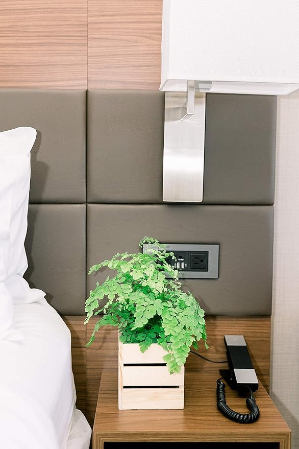 Wood Planter Box with Wine Crate Styled, 5 Inch Square, Rose Wood, Plastic Liner, Garden Centerpiece Display, Wedding Flowers Holder, Home and Venue Decor (5x5 Wine Crate Set of 4, Rose Wood)