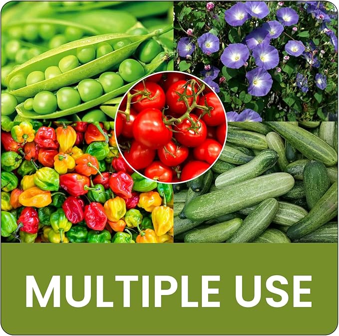 Raised Garden Bed with Tomato Cage 67.6” Self Watering Tomato Planter Boxes with Trellis Wheels for Outdoor Climbing Flowers Vegetable Vine Vegetables