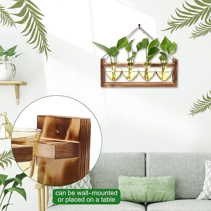 Plant Propagation Stations Heart Plant Terrarium Kit Gift for Women Plant Lover Glass Vases