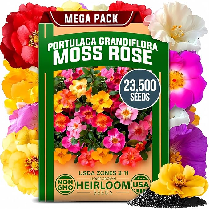 HOME GROWN 23,500+ Moss Rose Seeds (Bulk Pack) Annual Flower for Ground Cover - Heirloom 𝗡𝗢𝗡-𝗚𝗠𝗢 Portulaca Seeds for Planting Outdoors - Great for Low-Maintenance Gardens (Portulaca grandiflora)