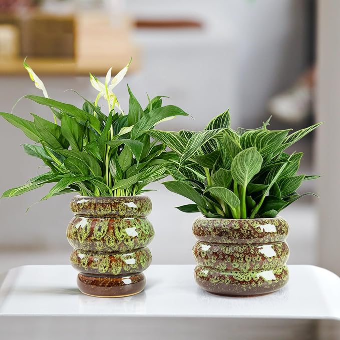 Ceramic 6 inch Plant Pot - Planter for Indoor Plants with Drainage Hole, Flower Pots for Orchid, Succulent,Outdoor Plants, Modern Glaze Planters for Home Office Decor Gift