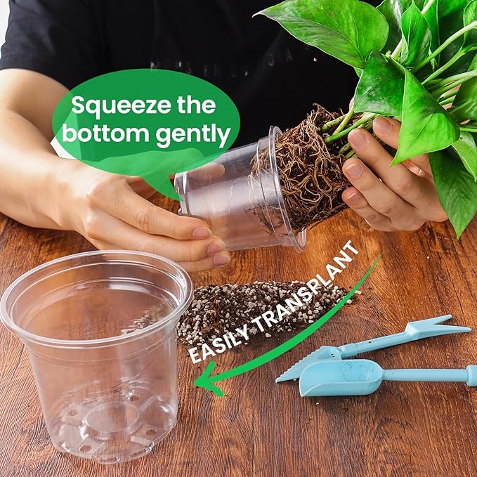 36 Packs 5/4/3.5 Inch Reinforced Clear Nursery Pots with Drainage Hole, Transparent Variety Pack Plastic Plant Pot Seedling Planter Seed Starter Flower