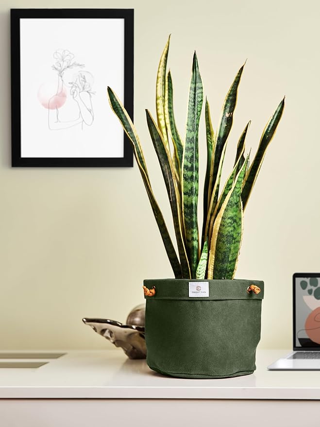 Waxed Canvas Handmade Hanging Planter for Indoor/Outdoor Plants, Hanging Basket Plant Holder Forest Green