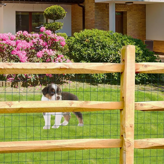 Green PVC Coated Welded Wire Fence 48 Inch x 25 Foot, 2 Inch x 3 Inch 16GA, Garden Border Fencing Roll Vinyl Coating Metal Wire Mesh for Yard Vegetable Plant Protection Poultry Netting