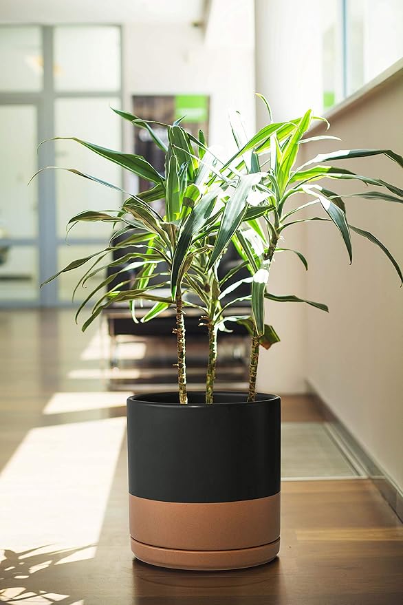 D'vine Dev Set of 2 Plants Pot, 10 Inch Ceramic Planter Pot for Plants with Drainage Hole and Saucer, Black/Speckled Tan, 94-V-E-7
