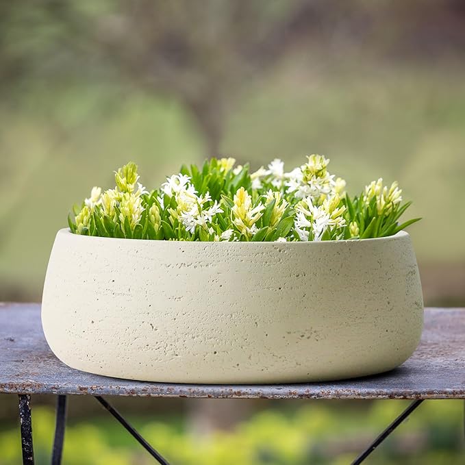 Olly & Rose Large Ceramic Planter Bowl Shallow Plant Pot - Off White Cream Ivory Flower Pot Indoor and Outdoor Decorative Bowl Garden and Home Décor