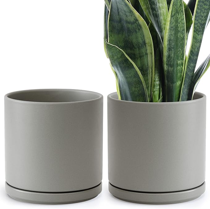 D'vine Dev Set of 2 Plants Pots, 10 Inch Ceramic Planter Pot for Plants with Drainage Hole and Saucer, Speckled Grey, 94-V-E-3