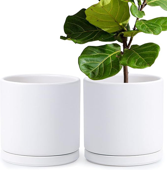 D'vine Dev Set of 2 Plants Pots, 10 Inch Ceramic Planter Pot for Plants with Drainage Hole and Saucer, White, 94-V-E-1