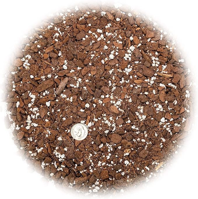 Monstera Borsigiana Soil Blend - Specially Designed for Unique Plant Needs - 4 Quart