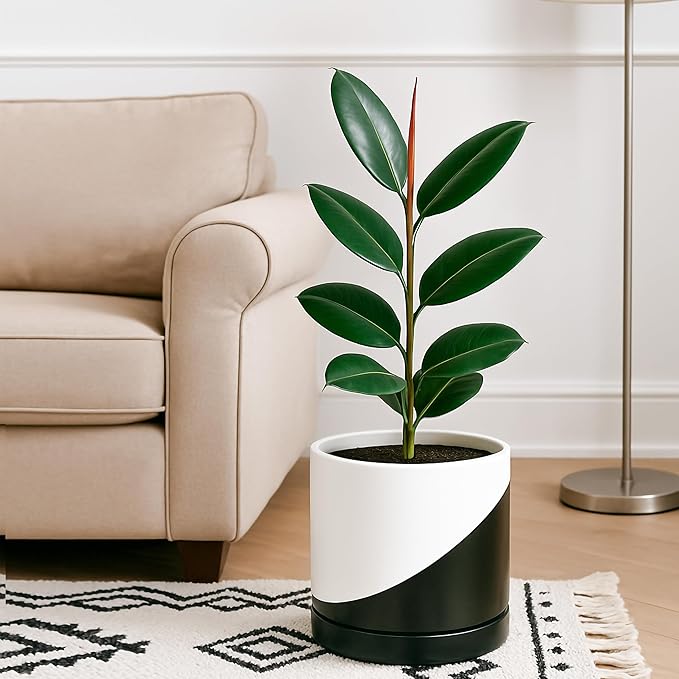 D'vine Dev 10 Inch Ceramic Planter Pot with Drainage Hole and Saucer, Indoor Cylinder Round Planter Pot, Oblique Monochrome Black and White, 94-O-E-K