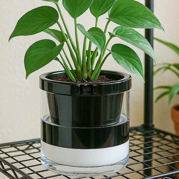 D'vine Dev 8 Inch Design Self Watering Planter for Indoor Plants, Black Terracotta Pot with Cylinder Glass Cup, 37-X-C-3