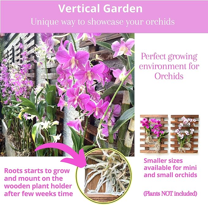 ShopLaLa Wall Planter - Hanging Wooden Wall Planter for Indoor Outdoor Plants, Vertical Garden, Plant Wall Mount Planter, Air Plant Succulent Holder for Flower Pot Display Hanger Frame 47.2" (120cm)