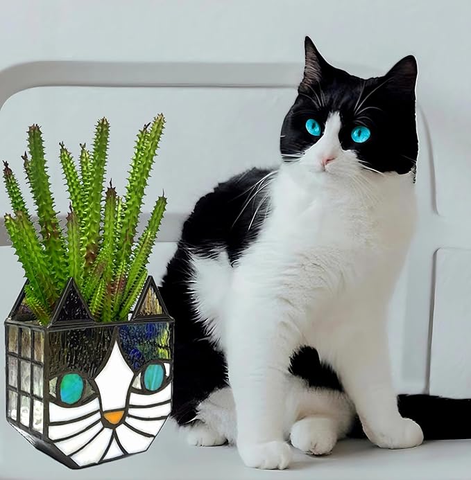 Tiffany Cute Cat Stained Glass Flower Pots,Indoor and Outdoor Plant Displays,Cat Plant Planter,Candle Holder Container Decoration 4.6 x 5.15 x 2.3 inch(11.7 x 13.1 x 5.8 CM)(Without Succulents)Black