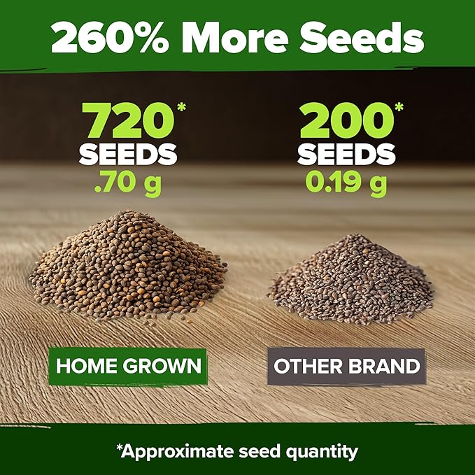 HOME GROWN Culantro Seeds - 720+ 𝗡𝗢𝗡-𝗚𝗠𝗢, 𝗨𝗦𝗔-𝗦𝗢𝗨𝗥𝗖𝗘𝗗 Heirloom Herb Seeds for Planting, Slow-Bolting, Flavorful Cilantro Alternative, Great for Outdoor Herb Gardens (Eryngium foetidum)
