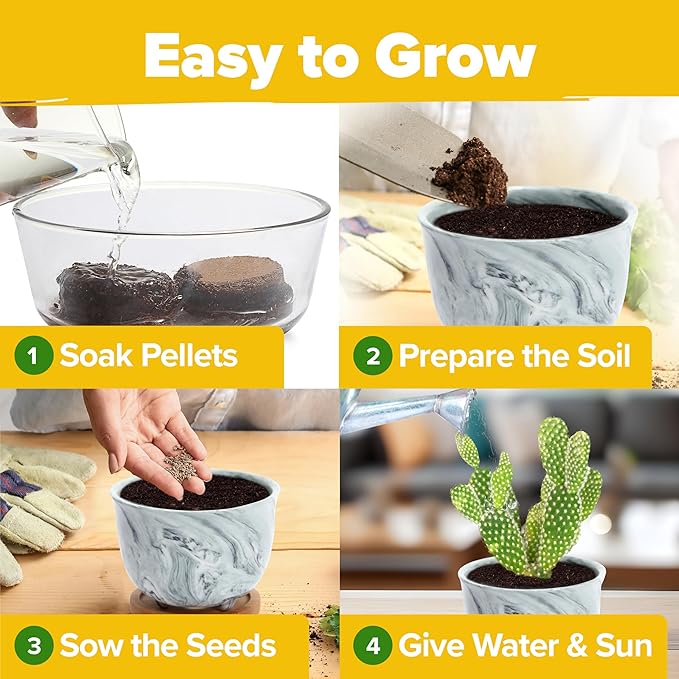 HOME GROWN Deluxe Succulent & Cactus Seed Grow Kit - Complete Indoor Plant Kit with Cactus Seeds, Potting Soil, Ceramic Pots, Drip Trays, and Grow Guide for Plant Enthusiasts