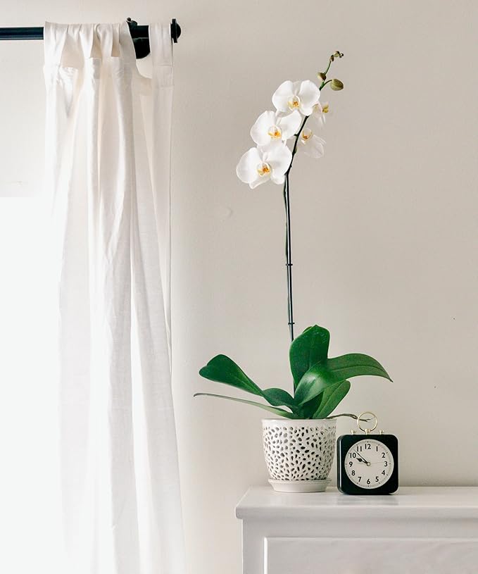 Elegant Orchid Pot with Holes, Large 6.5 inch Premium Porcelain Ceramic Orchid Pot for Repotting, Durable Ceramic Planter with Removable Saucer for Easy Drain, Planter Gifts for Moms