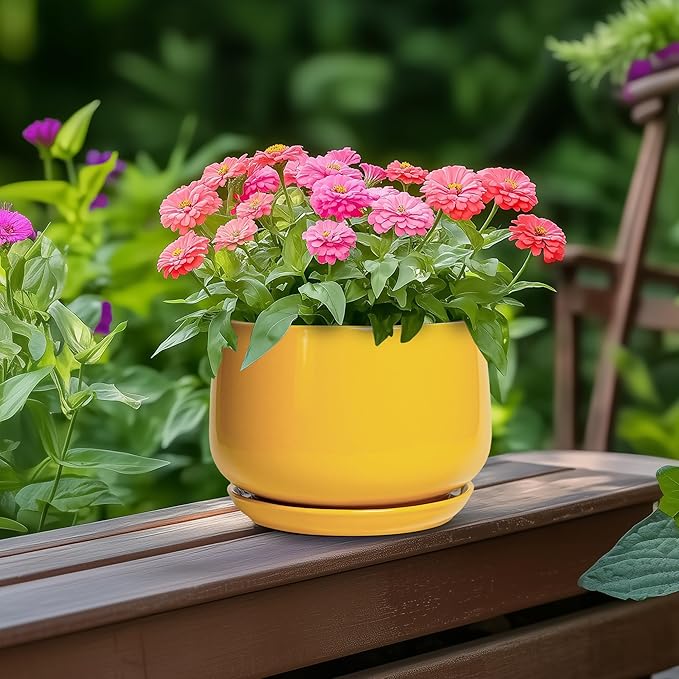 G EPGardening Ceramic Plant Pot - 6 Inch Ceramic Planter with Drainage Hole and Tray, Modern Round Planter, Flower Pot for Indoor Outdoor Plants, Plants Lovers Gifts, House Garden Decor, Yellow